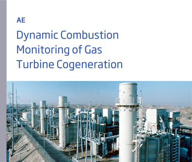 Dynamic Combustion Monitoring of Gas Turbine Cogeneration