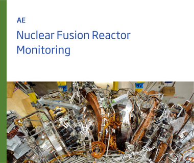 Nuclear Fusion Reactor Monitoring