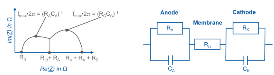 EIS: A Stethoscope for Fuel Cells